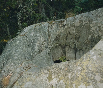 hiidenkirnu